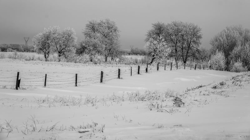 Drifted Road by Steve Tugwel